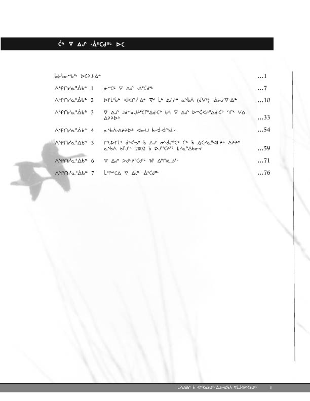 11923 CNC Report 2004_CREE - page 1